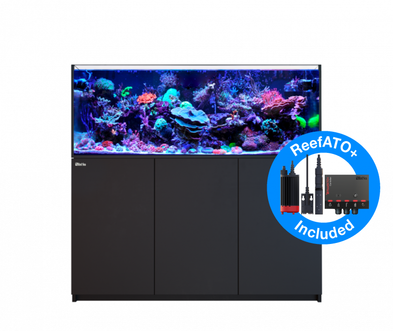 Red Sea Reefer 525 G2+ DELUXE Meerwasseraquarium Komplettset